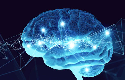 Neuroscience research process importance
