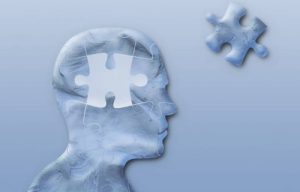 Consequences of brain plasticity
