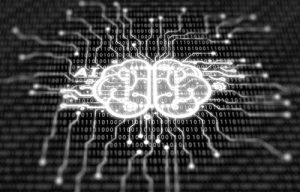 DMN brain network