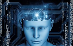 Neural Oscillations and Perception