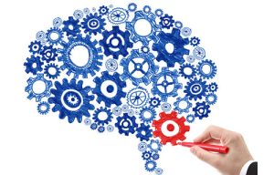 Neural Plasticity and Emotion Regulation