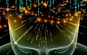 neural oscillations in cognition