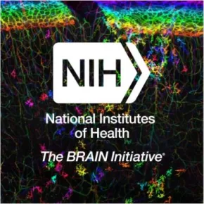 nih_brain_initiative_conference 